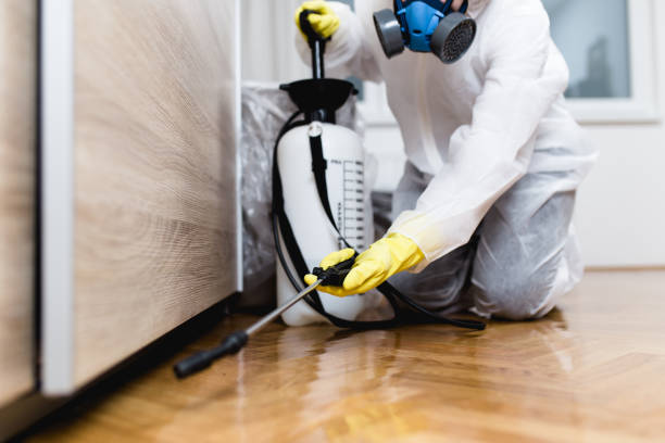 Best Cockroach Control Services  in Deerfield, WI