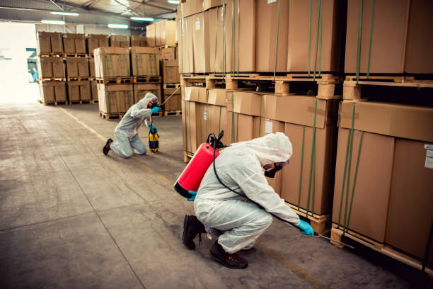 Professional Pest Control in Deerfield, WI
