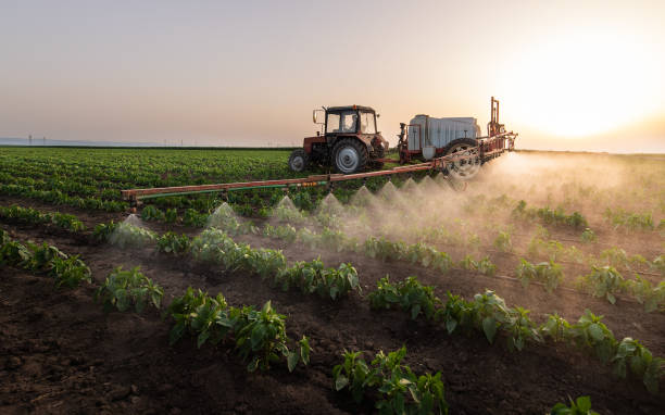 Best Commercial Pest Control Services  in Deerfield, WI