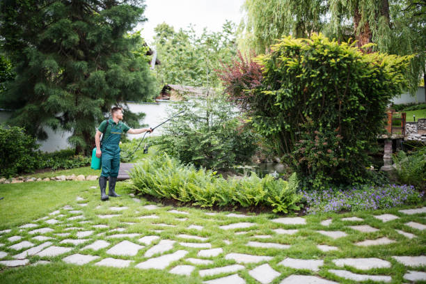 Best Emergency Pest Control  in Deerfield, WI