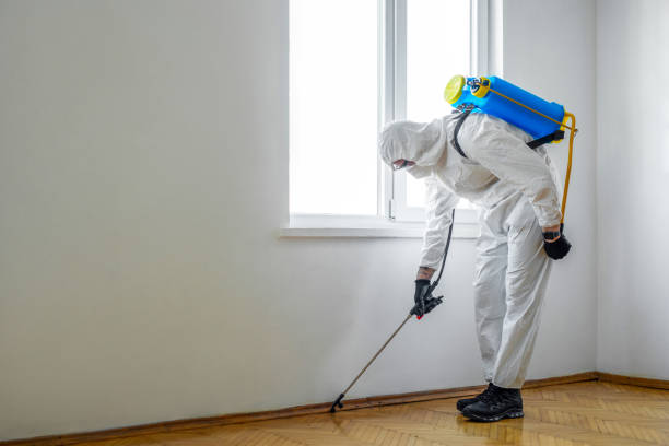 Best Termite Control Services  in Deerfield, WI