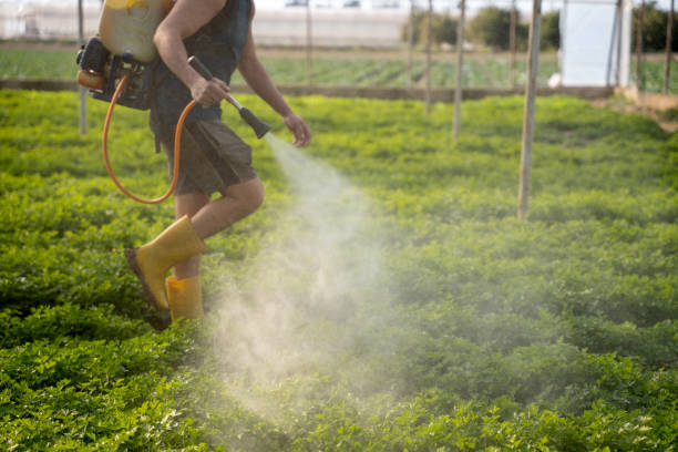 Best Exterminator Services  in Deerfield, WI