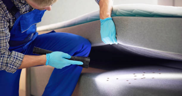 Best Pest Inspection Near Me  in Deerfield, WI