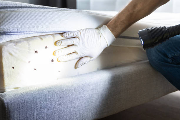 Best Affordable Pest Control Services  in Deerfield, WI