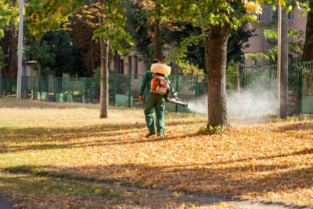 Best Bird Control  in Deerfield, WI