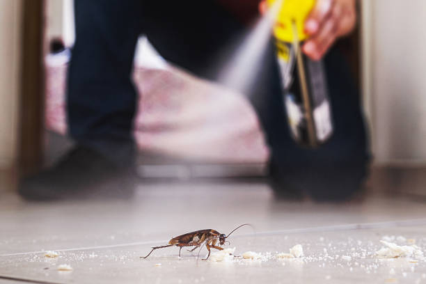 Best Affordable Pest Control Services  in Deerfield, WI
