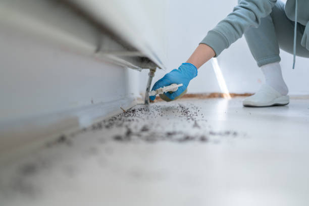 Best Residential Pest Control  in Deerfield, WI