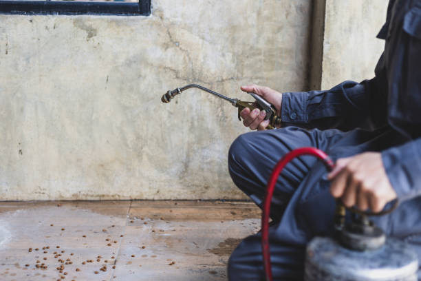 Pest Control for Restaurants in Deerfield, WI