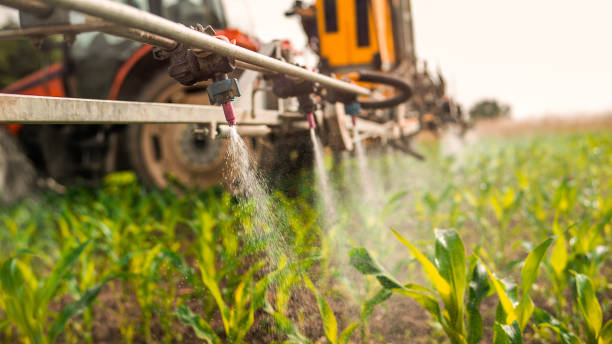 Best Pest Control for Homes  in Deerfield, WI